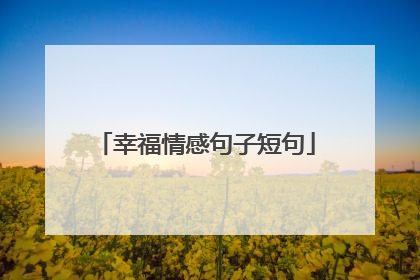 幸福情感句子短句