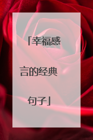幸福感言的经典句子