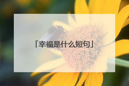 幸福是什么短句