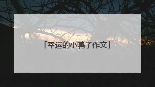 幸运的小鸭子作文