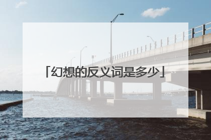 幻想的反义词是多少