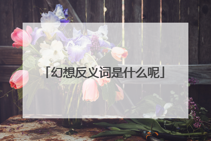 幻想反义词是什么呢