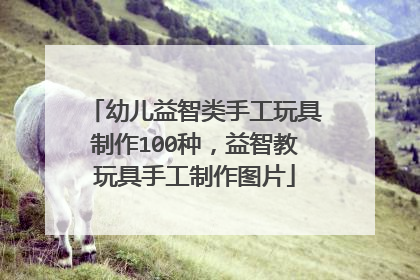 幼儿益智类手工玩具制作100种，益智教玩具手工制作图片