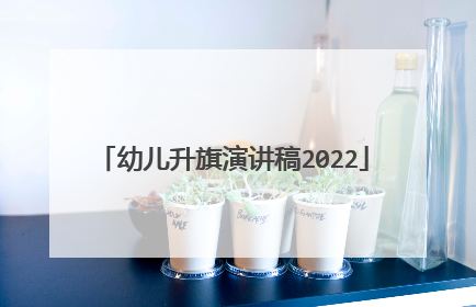 幼儿升旗演讲稿2022