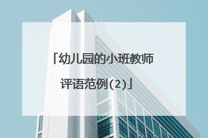 幼儿园的小班教师评语范例(2)