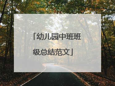 幼儿园中班班级总结范文