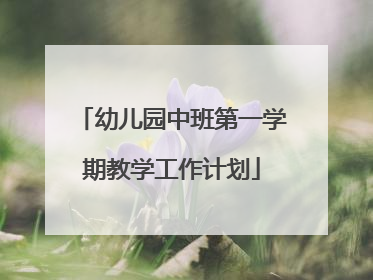 幼儿园中班第一学期教学工作计划