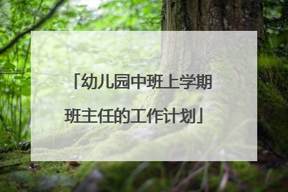 幼儿园中班上学期班主任的工作计划