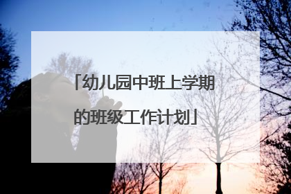 幼儿园中班上学期的班级工作计划