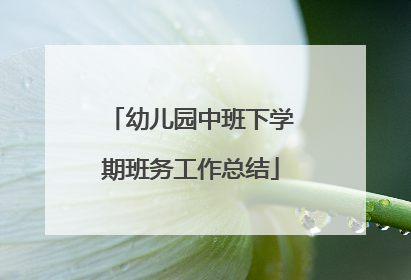 幼儿园中班下学期班务工作总结