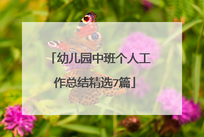 幼儿园中班个人工作总结精选7篇