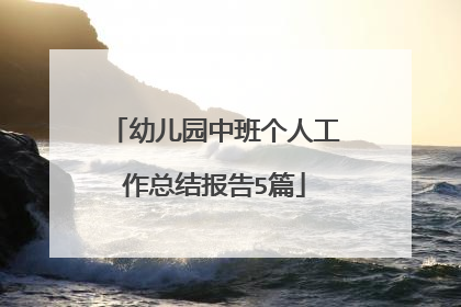 幼儿园中班个人工作总结报告5篇