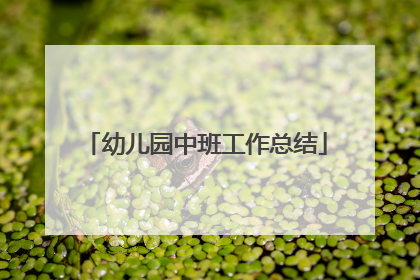 幼儿园中班工作总结