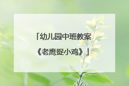 幼儿园中班教案《老鹰捉小鸡》