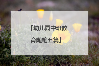 幼儿园中班教育随笔五篇