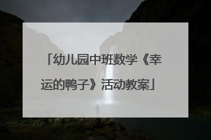 幼儿园中班数学《幸运的鸭子》活动教案