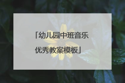 幼儿园中班音乐优秀教案模板