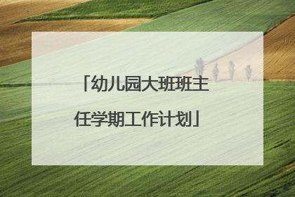 幼儿园大班班主任学期工作计划