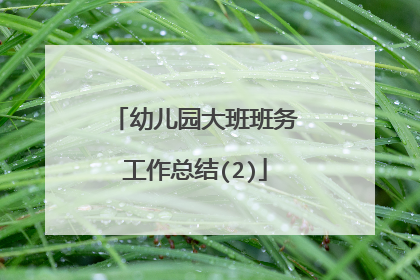 幼儿园大班班务工作总结(2)
