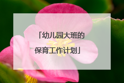幼儿园大班的保育工作计划