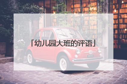 幼儿园大班的评语