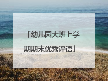 幼儿园大班上学期期末优秀评语