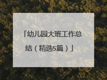 幼儿园大班工作总结(精选5篇)