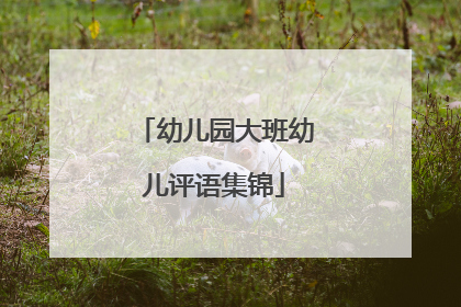 幼儿园大班幼儿评语集锦