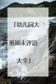 幼儿园大班期末评语大全