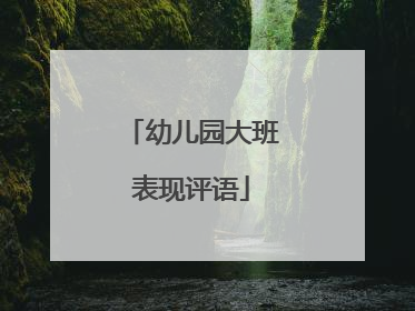幼儿园大班表现评语