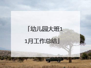 幼儿园大班11月工作总结