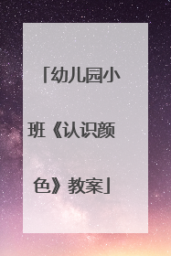 幼儿园小班《认识颜色》教案