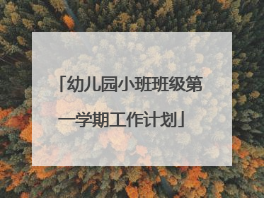 幼儿园小班班级第一学期工作计划