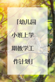 幼儿园小班上学期教学工作计划