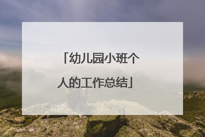 幼儿园小班个人的工作总结