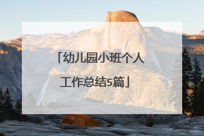 幼儿园小班个人工作总结5篇