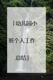 幼儿园小班个人工作总结