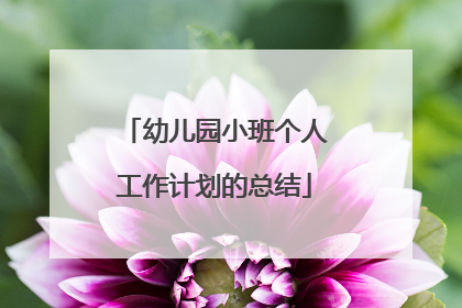 幼儿园小班个人工作计划的总结