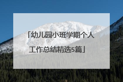 幼儿园小班学期个人工作总结精选5篇