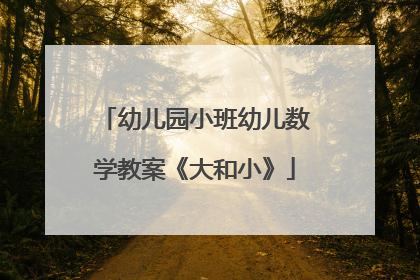 幼儿园小班幼儿数学教案《大和小》