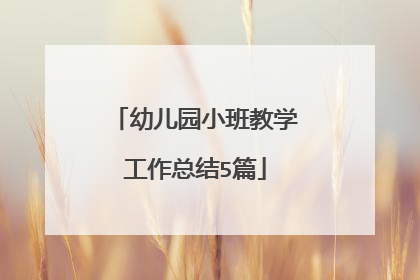 幼儿园小班教学工作总结5篇
