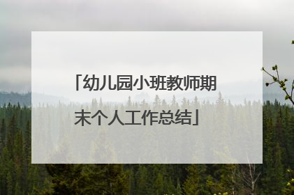 幼儿园小班教师期末个人工作总结