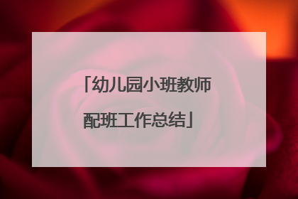 幼儿园小班教师配班工作总结