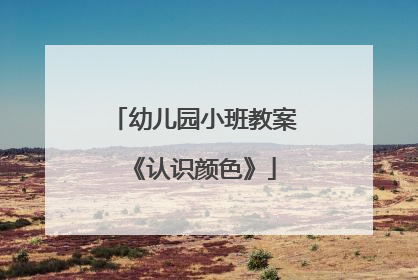 幼儿园小班教案《认识颜色》