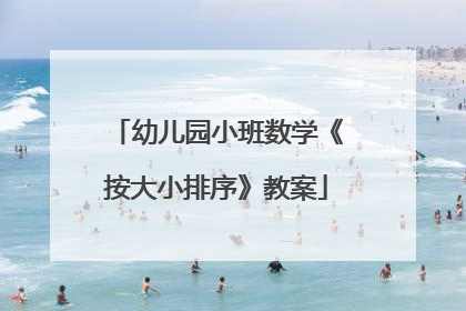 幼儿园小班数学《按大小排序》教案