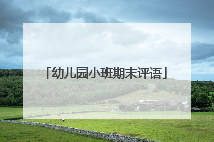 幼儿园小班期末评语