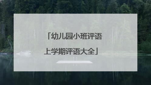 幼儿园小班评语上学期评语大全