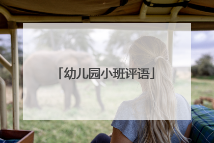 幼儿园小班评语