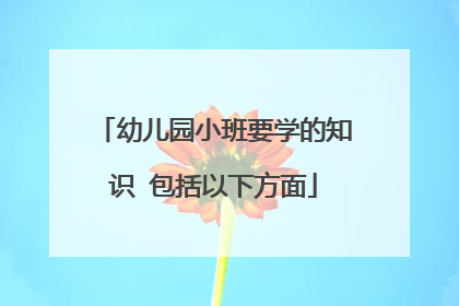 幼儿园小班要学的知识 包括以下方面