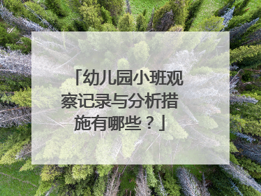 幼儿园小班观察记录与分析措施有哪些？
